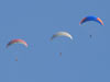 Profeel Parapente